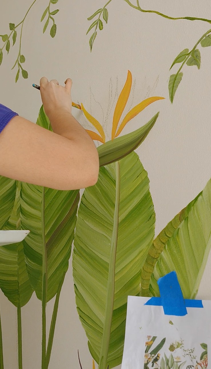 CLASE GRABADA MURAL BOTANICO